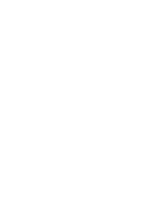 Aurora Tactical Group logo