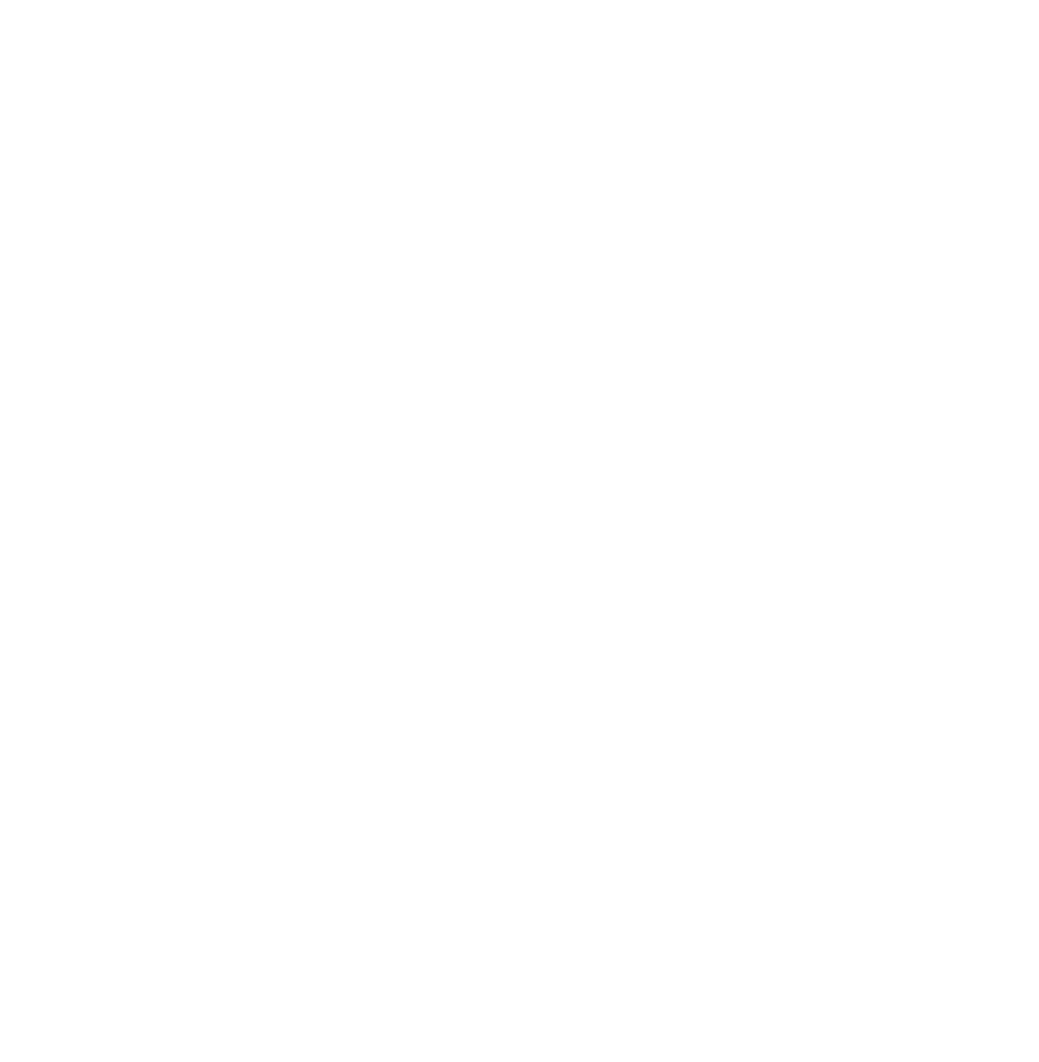 Black Bush Armory logo